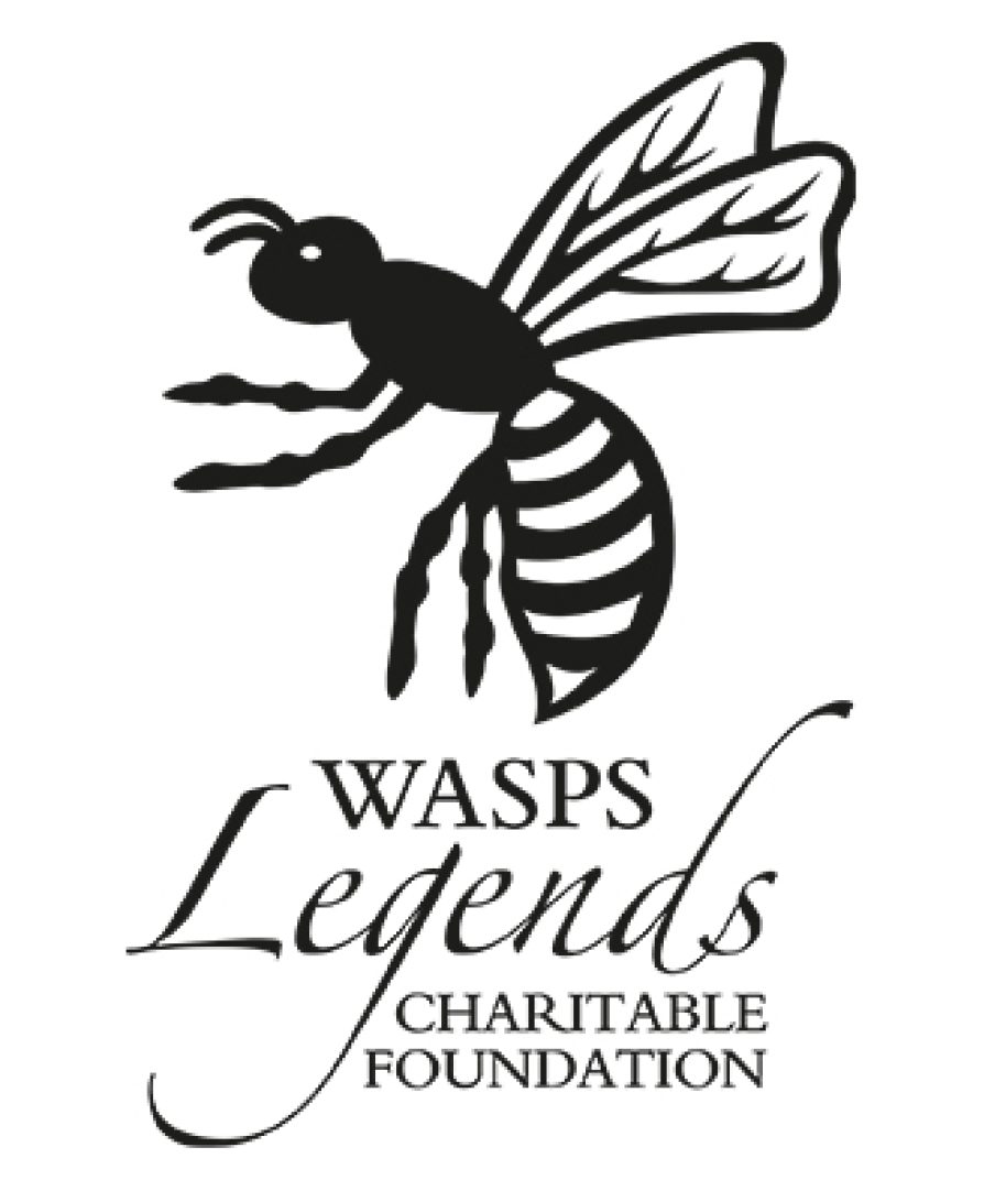 Wasps-Foundation-600x400-1